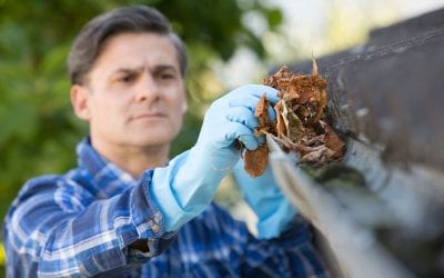 How to Clean Your Gutters