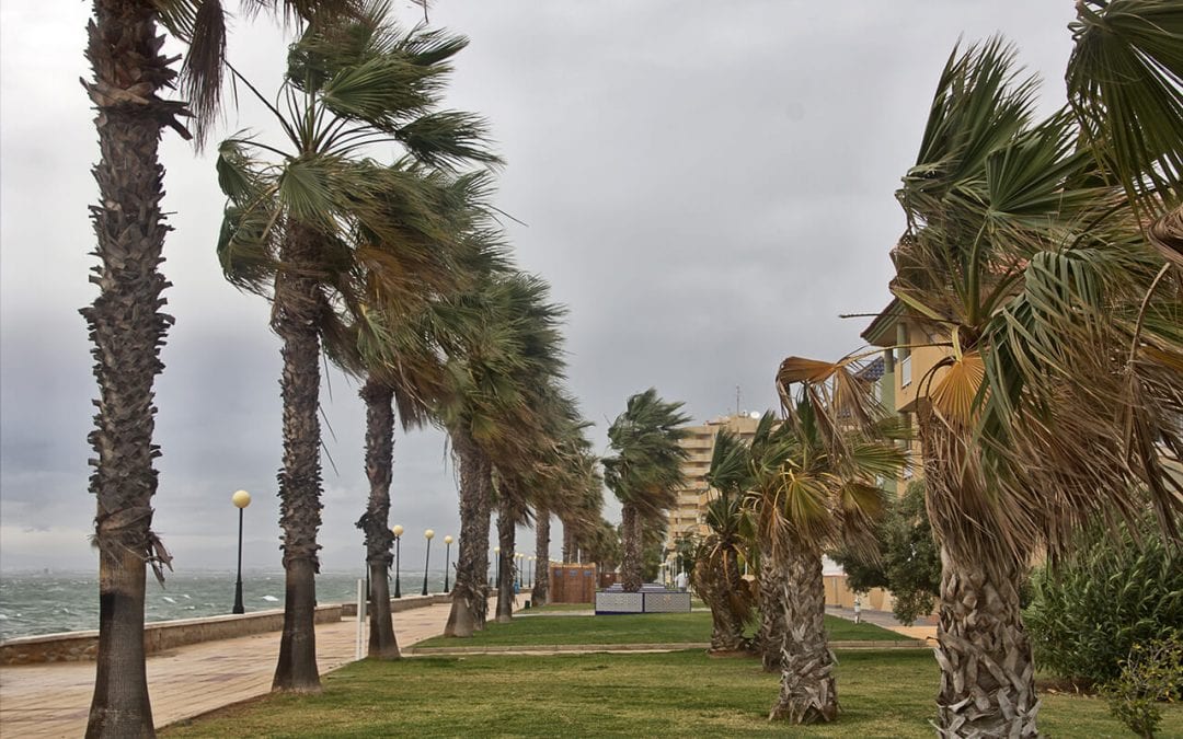 prepare your home for hurricane season